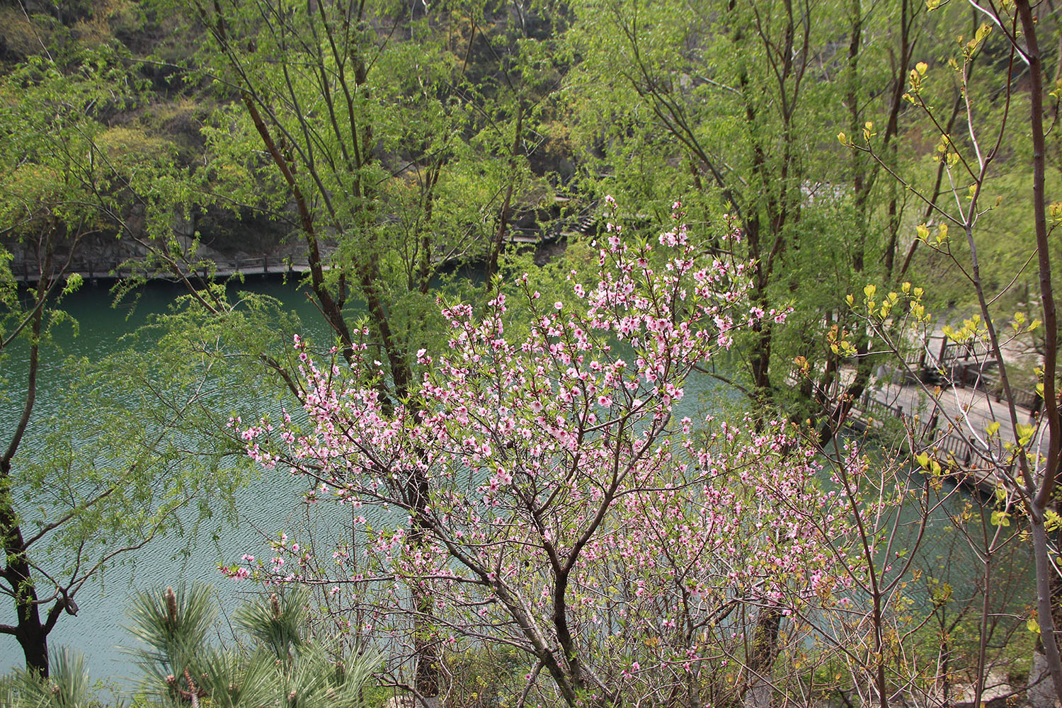 2021，濟(jì)南辰達(dá)試驗(yàn)機(jī)制造有限公司九如山一日游！